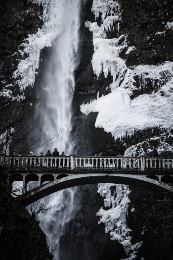 Unsplash ID fwF9Jg1wkXI