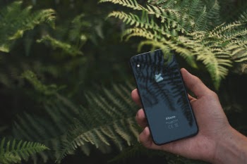 Unsplash ID FX3pTF_JMBc
