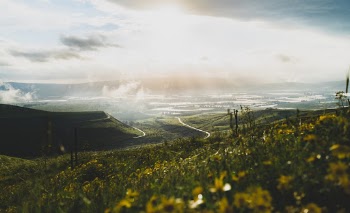 Unsplash ID g_Abgn1slAM