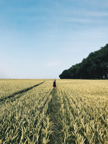 Unsplash ID G-CJtfaCng0