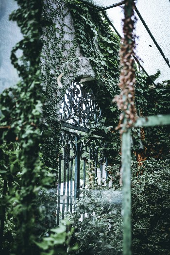 Unsplash ID g20Y8b2g0A0