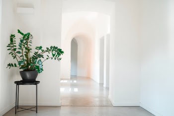 Unsplash ID g6l13nUibg8