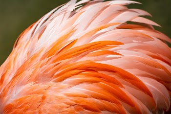 Unsplash ID g9M46POadWU