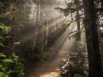 Unsplash ID Gb1DbC0wwgQ