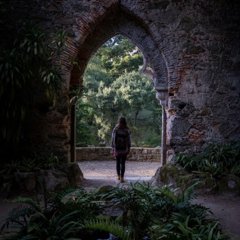 Unsplash ID gBhNE9eefYE