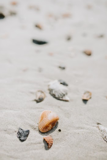 Unsplash ID gBhWFwnhjyI