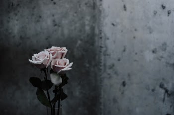 Unsplash ID gDrtALgE2pA