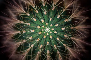 Unsplash ID geD_F8tnL94