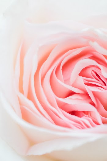 Unsplash ID gf5eWWT2QAo