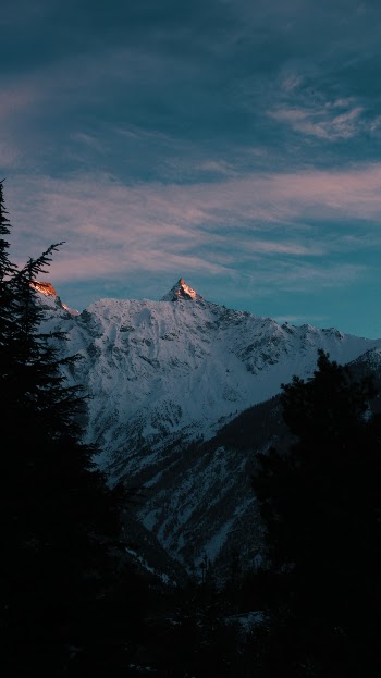Unsplash ID gfKDQHxSQW8