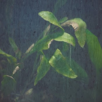 Unsplash ID GgcsS8ftPdk