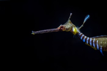 Unsplash ID gGI_UtxcNkk