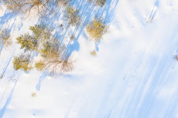 Unsplash ID GGYZTKqW5xE