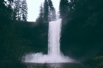 Unsplash ID gHN5fIX6k34