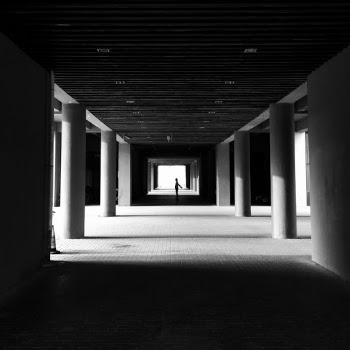 Unsplash ID GkCLyl_2AB8