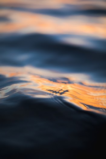 Unsplash ID GKzA5aBJe4Q