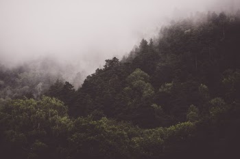 Unsplash ID gL662SZje2M