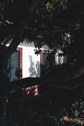 Unsplash ID glP0t5fJ1U0