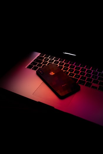 Unsplash ID gNzWVfxZ9J0