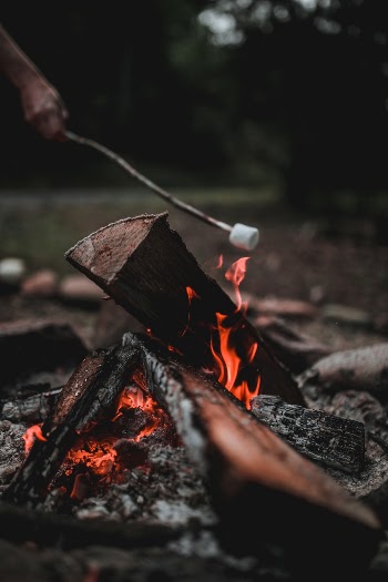 Unsplash ID gOxeVA_QO8w