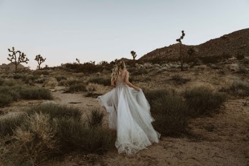 Unsplash ID gPnlJYEb6VI
