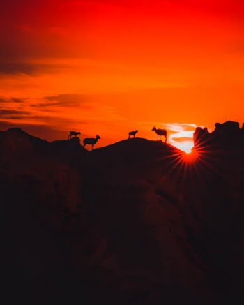Unsplash ID GQnB80_unoU