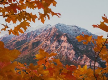 Unsplash ID GqnsiDxeqYM