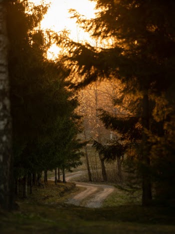 Unsplash ID GqQvtUA3dvw