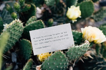 Unsplash ID Grtv3NF5smk