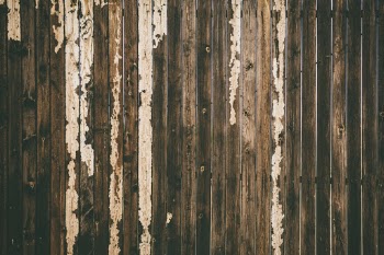 Unsplash ID _Gs3gQmc86c