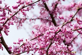 Unsplash ID _gsIKZhbDSk