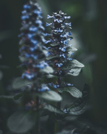 Unsplash ID GTGMXlZdv98