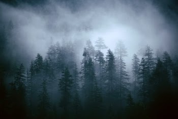 Unsplash ID gTvhFsQMqnA