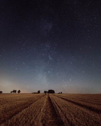 Unsplash ID Gu2tUshY06E