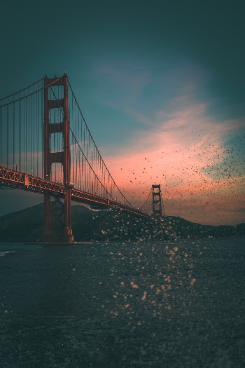 Unsplash ID GUU6R_UuY7k