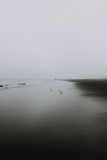Unsplash ID gvCoiGy_-Co