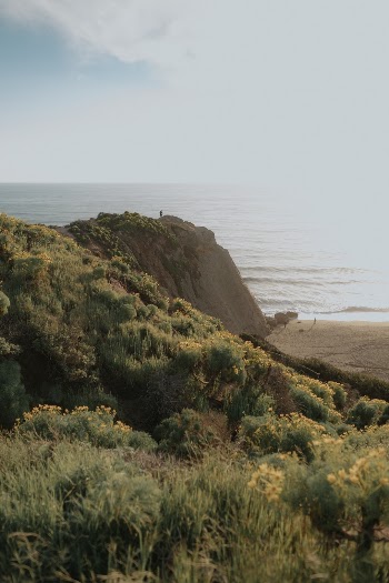 Unsplash ID GVR0DRMWUJQ