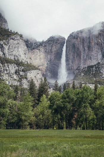 Unsplash ID Gwe1z8ZJGe8