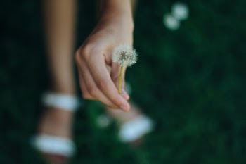 Unsplash ID GwHrNklG7fw