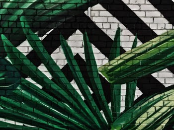 Unsplash ID GYGICayrCFQ