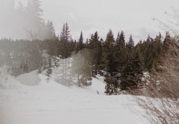 Unsplash ID gz7QfYSHMQE