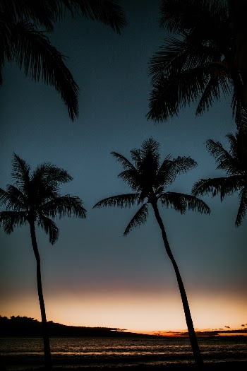 Unsplash ID H-0tJIZp1Ck