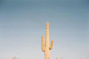 Unsplash ID h_sm9J-EpA4