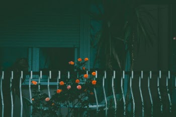 Unsplash ID h7J3h7QySc4