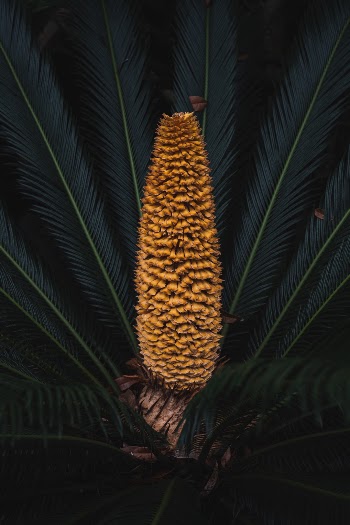 Unsplash ID h7Oq4mAw7_I