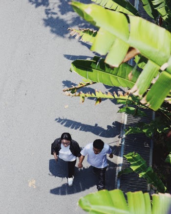 Unsplash ID hAvIu0pLUuw
