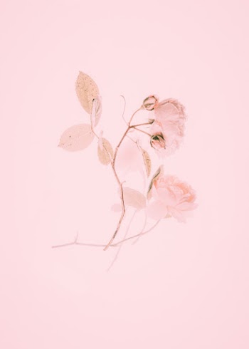 Unsplash ID HB-Kf9WLy_0