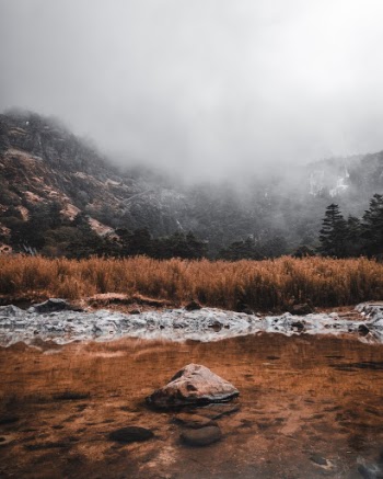 Unsplash ID HBr1QYk_sjs