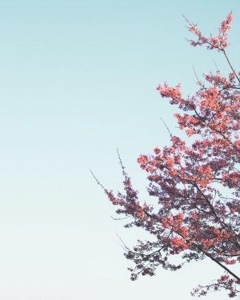 Unsplash ID HClRPkz_5cQ