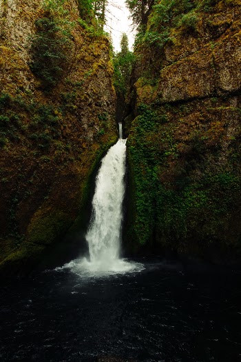 Unsplash ID HcO25u_IYAI